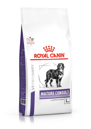 Mature Consult (Large Dogs)